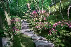 Bright pink azalea flowers border a stone staircase.