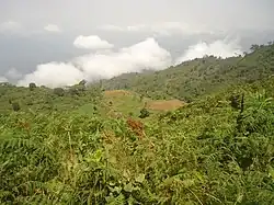 Natural landscape, Lebialem