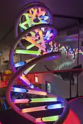 15 m long DNA model, Naturalis Biodiversity Center