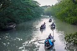Sundarbans at Morrelganj