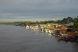 Nauta