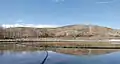 Nautilus Pond with mallard ducks in the spring.