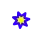 star of magnitude 1.5 and brighter