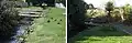 Before and after: planting of the stream banks through Kaikorai Common