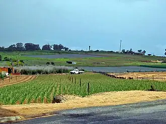 Agricultural land on Wattle Avenue