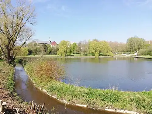 Neerpedebeek and Neerpede Ponds