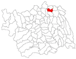 Location in Bacău County