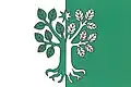 Flag of Nelepeč-Žernůvka