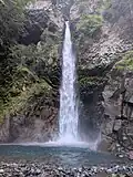44. Neo Falls