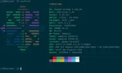 Neofetch running on CentOS