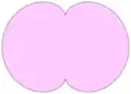 Nephroid
