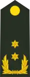 Generaal-majoor (Royal Netherlands Army)[50]