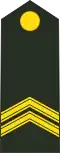 Sergeant-majoor (Royal Netherlands Army)[43]