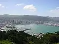 View of Wellington City from Mount Victoria