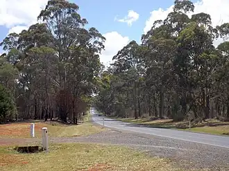 New England Highway, 2014
