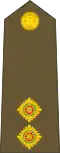 First lieutenant (New Zealand Army)[25]