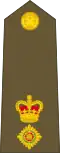 New Zealand Army (Lieutenant Colonel)