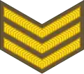 Sergeant (New Zealand Army)[94]