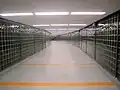 This glassblock-lined underground corridor connects Copley Place to Back Bay station