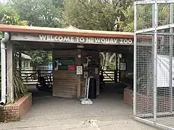 Newquay Zoo – meerkat