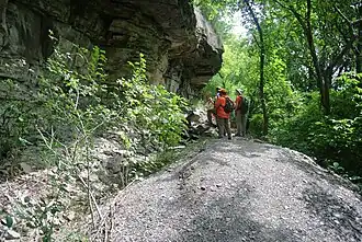 Niagara Gorge trail near the Lewiston-Queenston Bridge.