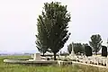 'Lobel', Nine Elms British Cemetery, Poperinge (2009)