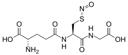 2D representation of the chemical structure of S-Nitrosoglutathione .