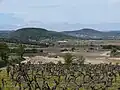 Hills of Herault, Spring time
