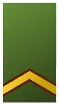 Sergeant (Suriname Army)[107]