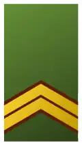 Sergeant-majoor (Suriname Army)[48]