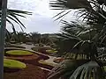 Decorative Landscaping at Nong Nooch Tropical Botanical Garden