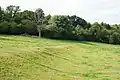 Norbury Park