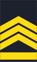 Постар водник Postar vodnik (North Macedonian Ground Forces)[25]