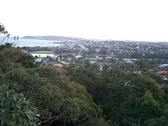 North Curl Curl from Wingala Reserve