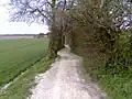 Typical chalk downland trail near Hollingbourne