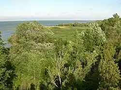 Northern coast of Muhu