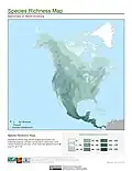 Species richness map (mammals)
