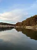 The shoreline of Tivoli North Bay