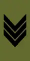 Sersjant (Norwegian Army)[97]