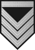 Sersjant 1. klasse (Norwegian Army)[14]
