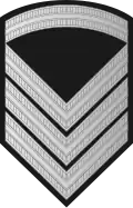 Oversersjant (Norwegian Army)[28]