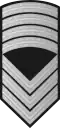 Sersjantmajor (Norwegian Army)[44]