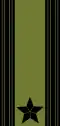 Major (Norwegian Army)[66]