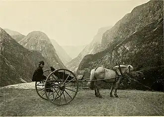 Fjord horse and cariole (1907)