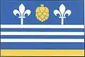 Flag of Nosálov