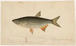 Colored drawing with faint pencil annotations