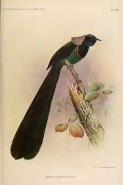 319×480px