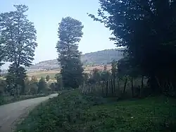 The city of Now Kandeh on a summer morning