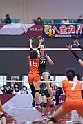 Nozomi Asakawa