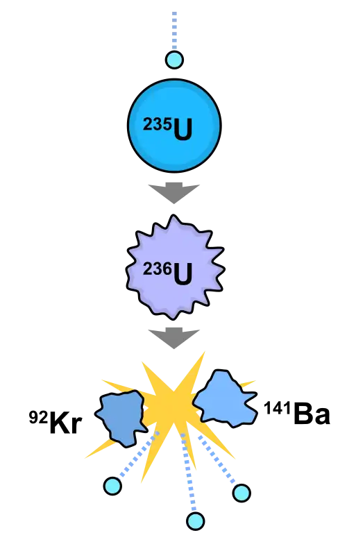 A diagram showing a chain transformation of uranium-235 to uranium-236 to barium-141 and krypton-92